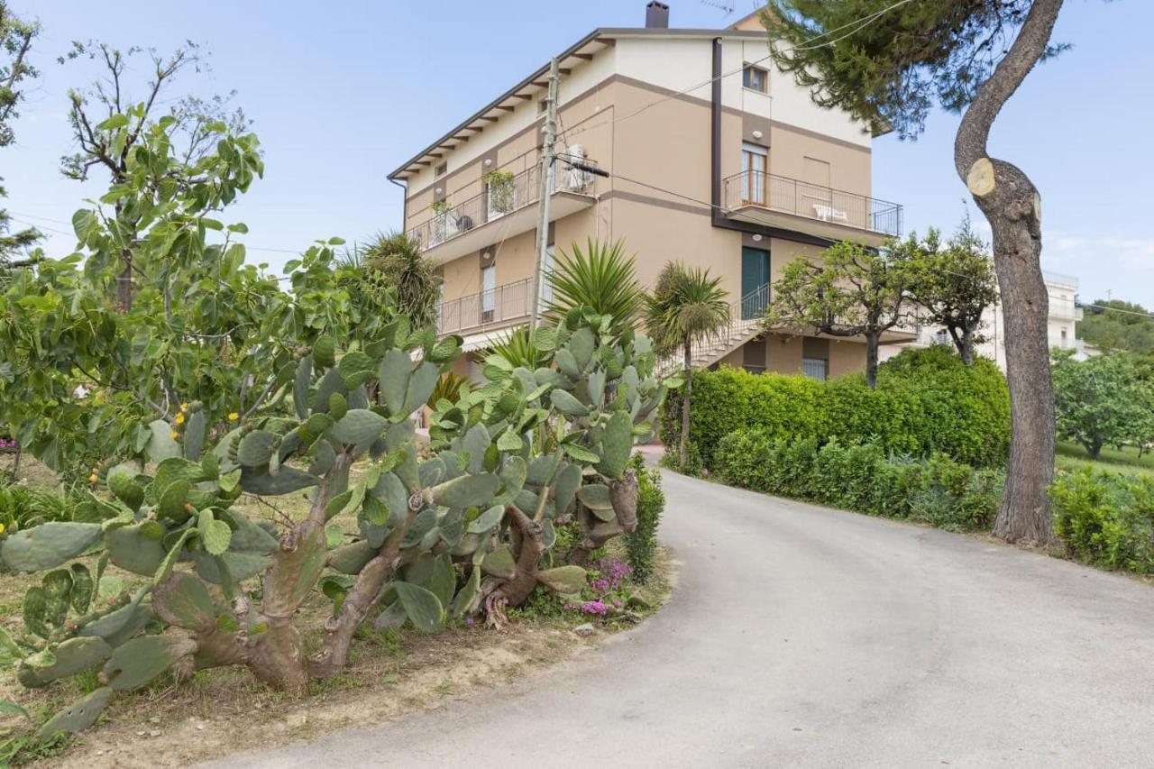 B&B Alba Sul Mare Guest House Massignano Dış mekan fotoğraf