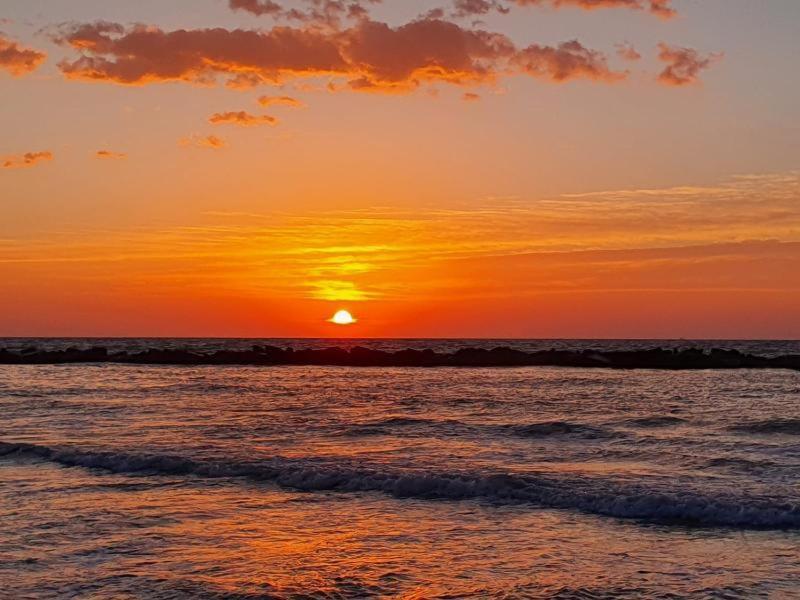 B&B Alba Sul Mare Guest House Massignano Dış mekan fotoğraf
